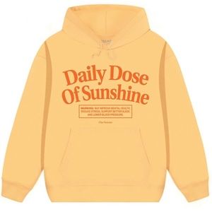Daily Dose of Sunshine Heavyweight Hoodie